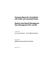 Thumbnail image of Public Consultation Summary Report document cover